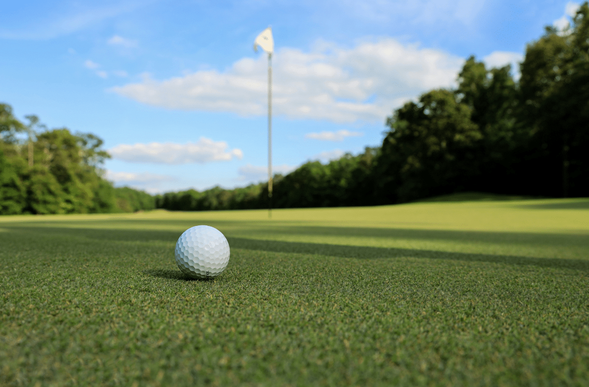 Golf Course with a flag pole in the background