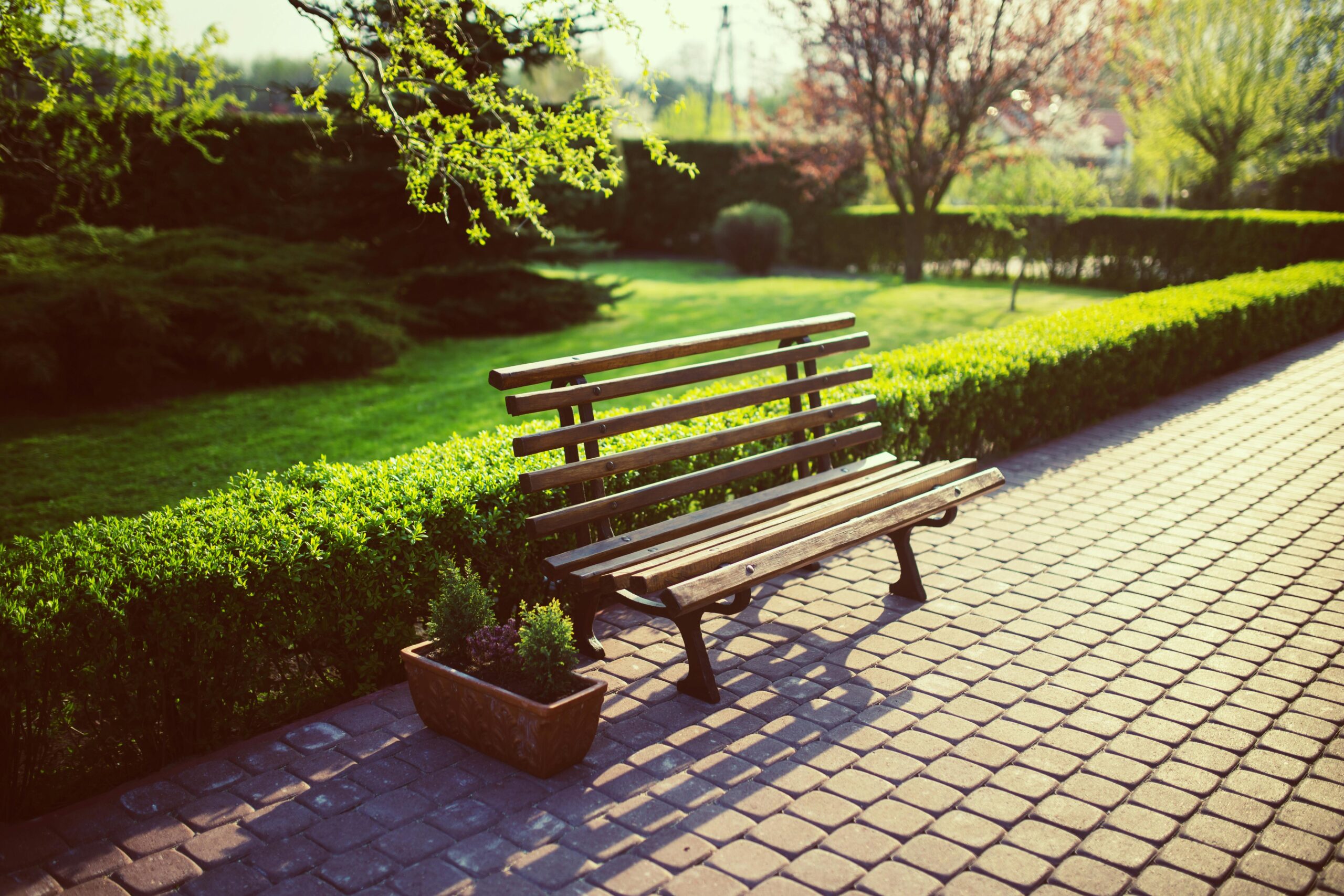 Bench in a park