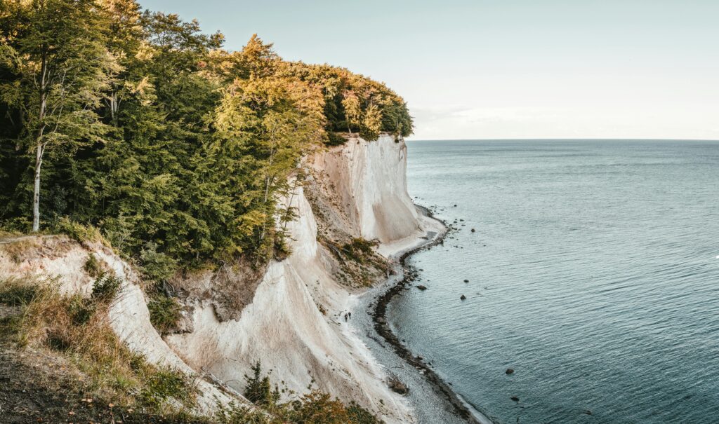 Pet-Friendly Neighbourhoods in the GTA for Growing Families 5 A view of the lakeshore at the Scarborough Bluffs