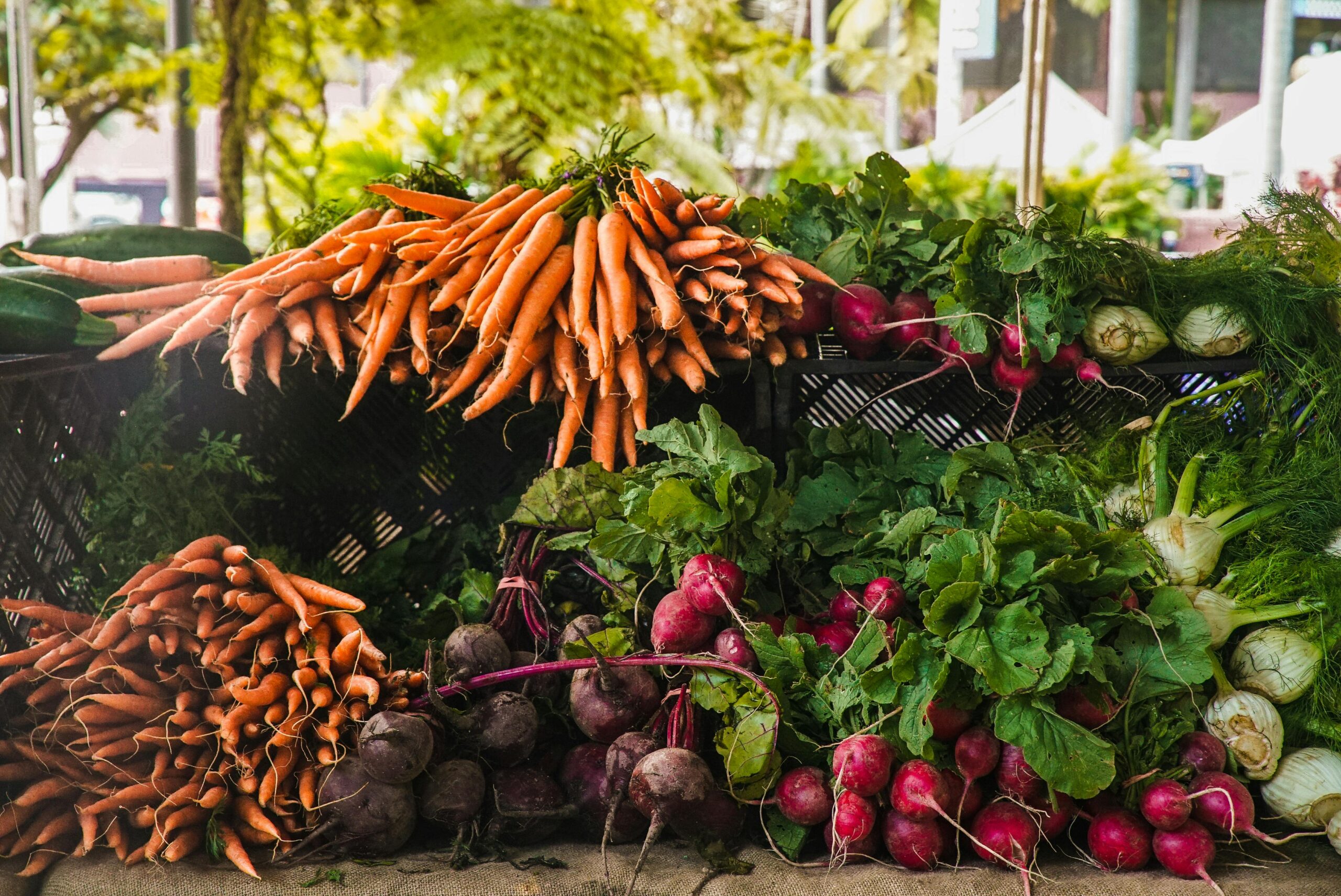 Vegetables on display at a farmers market