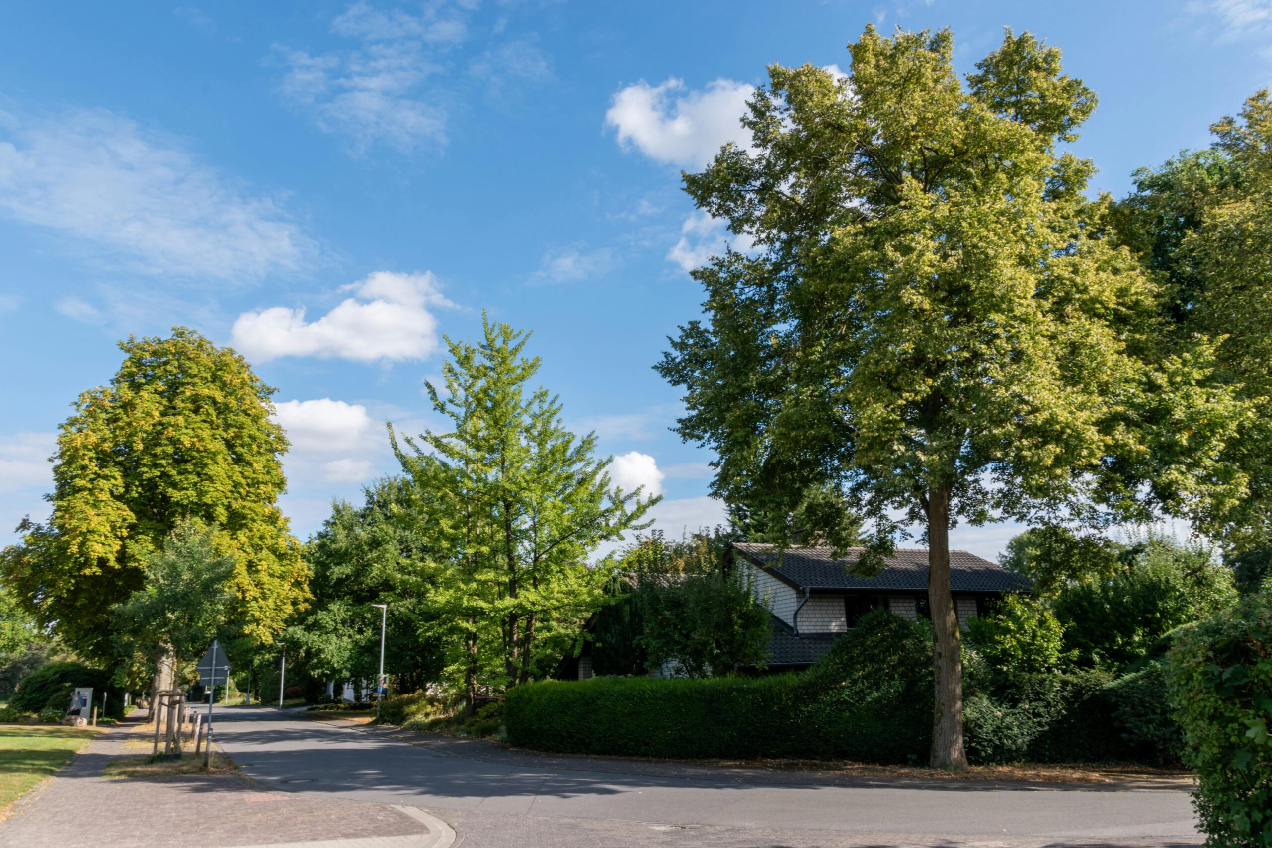 Neighbourhood of Clairlea-Birchmount in Toronto