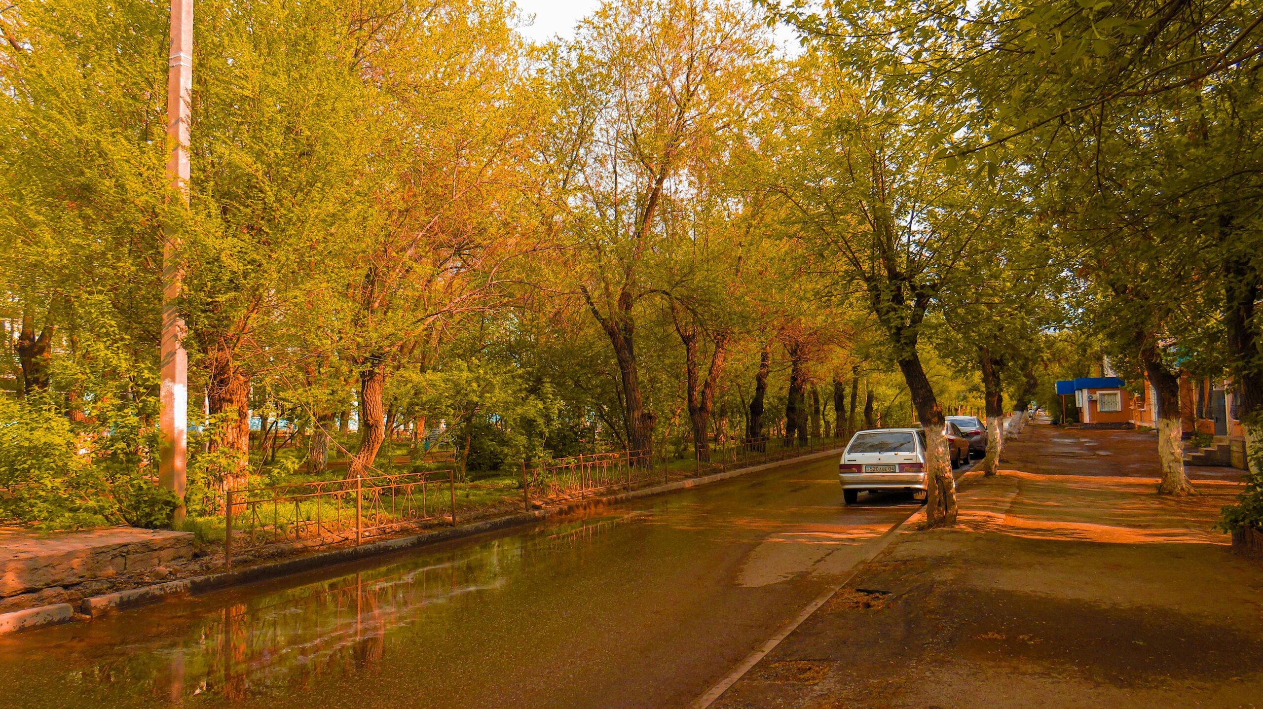 Car parked on a street in the fall
