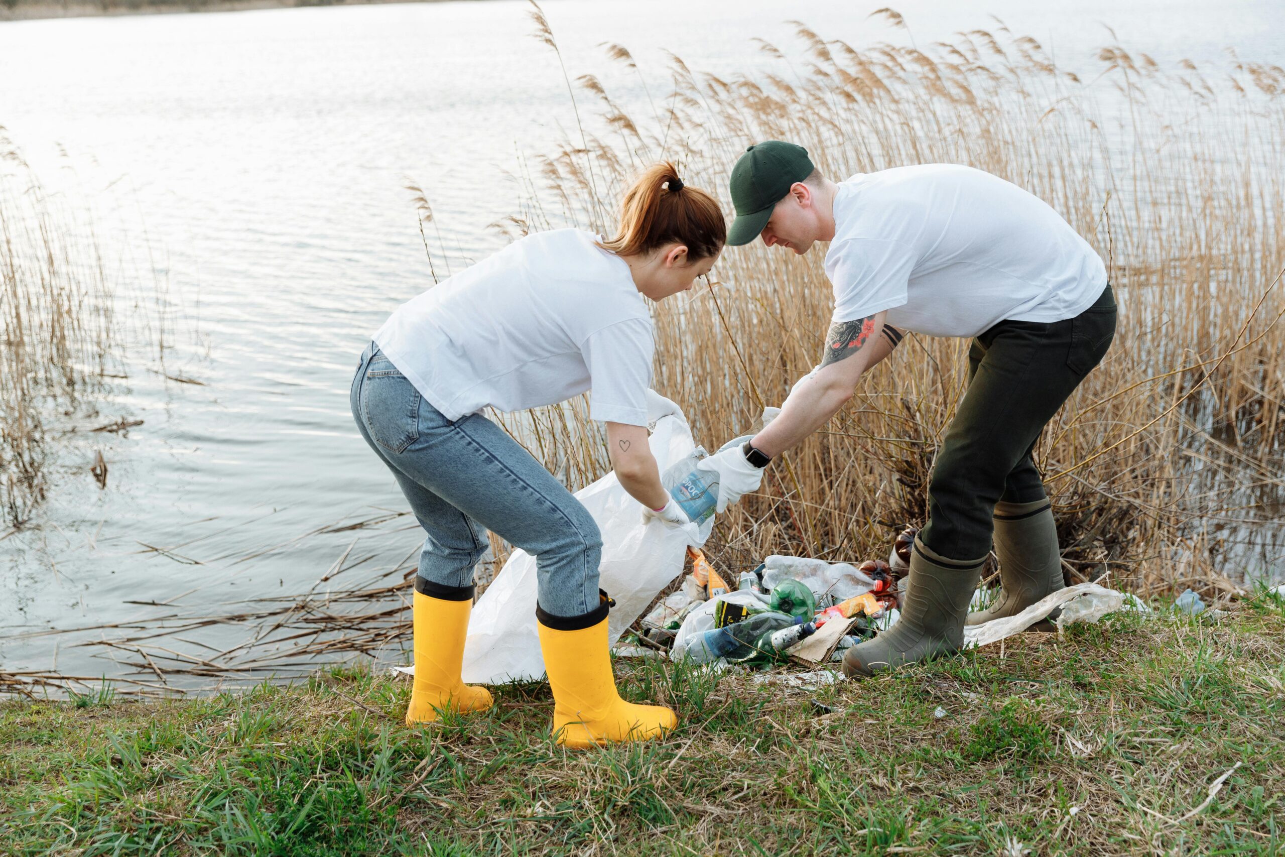 People cleaning up the waterfront.