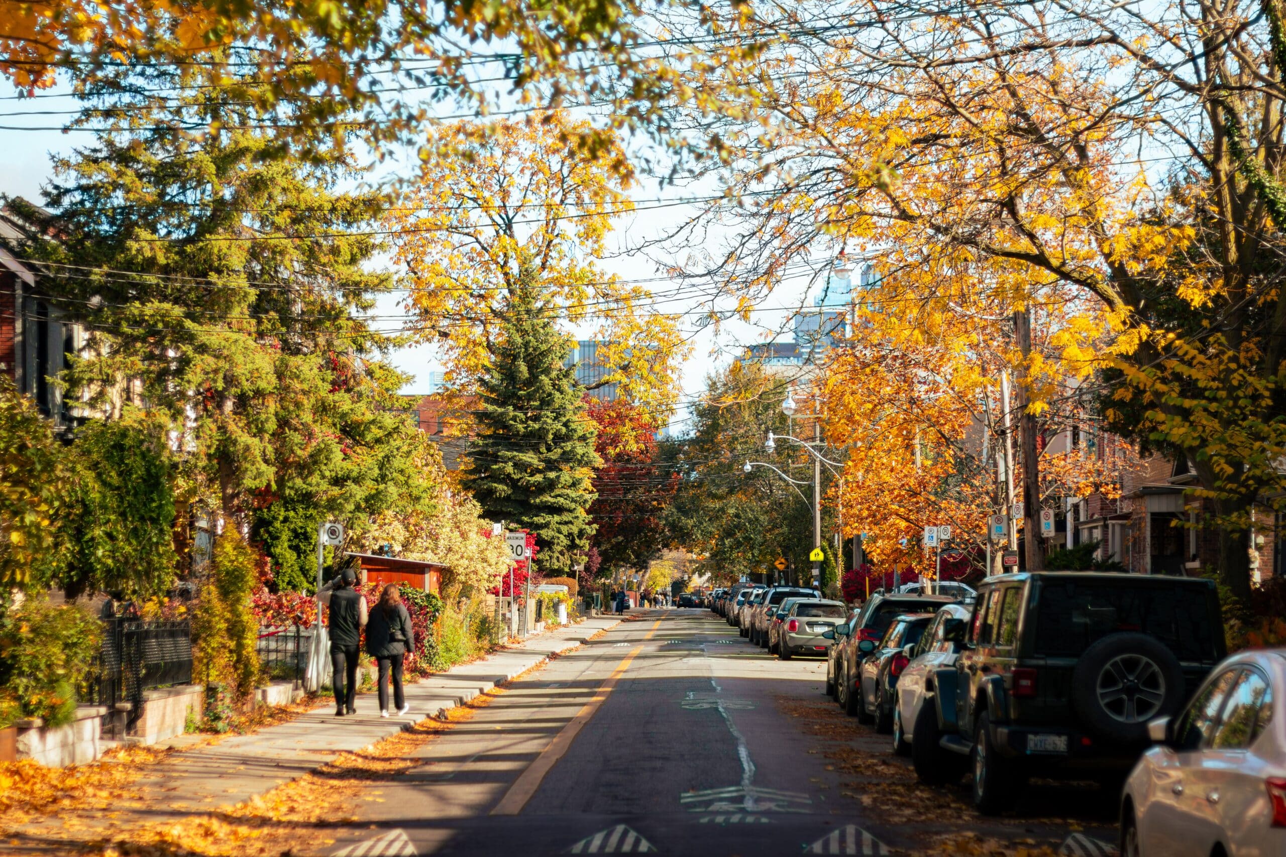 People walking on a residential street in the fall.