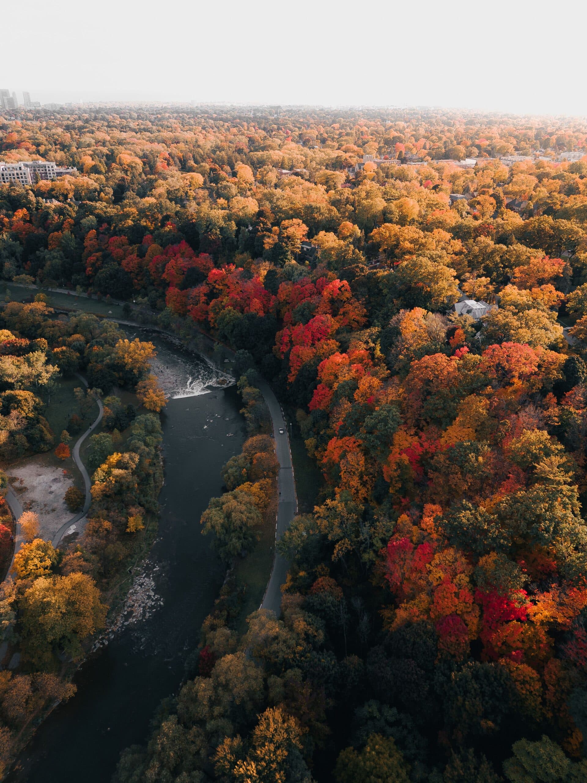The Humber River in Toronto with fall foliage near Baby Point Toronto