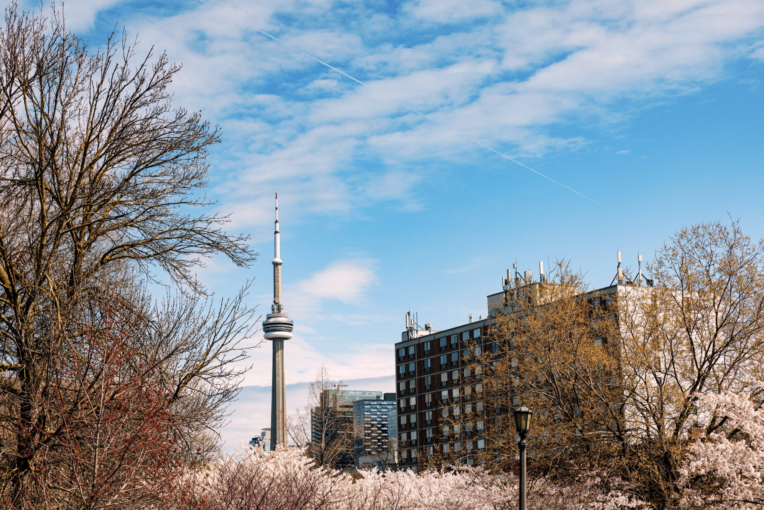 South Hill Toronto