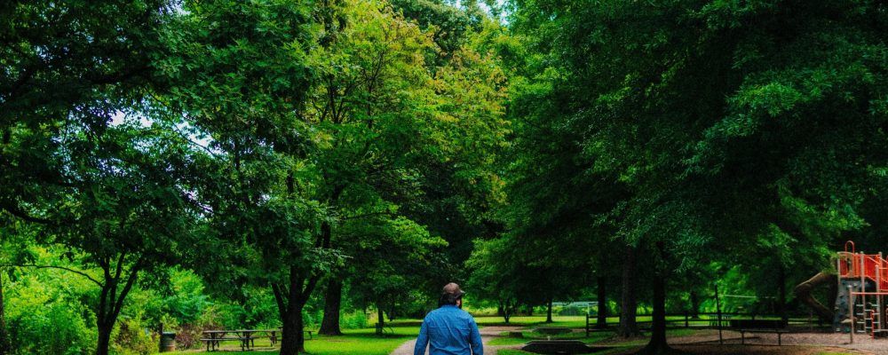 Person walking on a trail in a park
